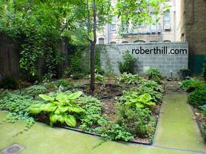 Common Garden - 215 E 89th St