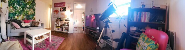 Living Room - 516 N 27th St