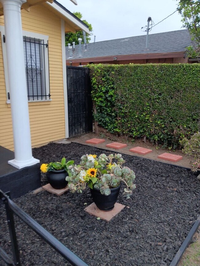 Front Garden - 328 W Cedar St