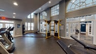This fitness center is designed to accommodate a wide range of workout needs within a thoughtfully organized, single-floor layout. The main training area is defined by dramatically high ceilings and an abundance of natural light streaming through large arched transom windows and expansive French door systems, creating an open and energizing atmosphere. The walls are finished in a neutral gray tone, complemented by dark rubber flooring throughout that provides both safety and durability.

The primary workout zone is anchored by a yellow Life Fitness functional trainer cable machine, serving as the centerpiece for strength and functional training. A dedicated free weights area features a full rack of dumbbells in graduated sizes, kettlebells, and a weight bench, all positioned in front of a large wall mirror that enhances the sense of space. A rowing machine and stretch mat area round out the functional training options.

A separate cardio room, distinguished by its deep blue ceiling and recessed lighting, houses multiple treadmills and elliptical machines, offering a more intimate setting for cardiovascular exercise. French doors connect the spaces, allowing for easy flow throughout the facility. Exercise balls are also available for core and flexibility training. The overall ambiance is professional, clean, and well-lit, making this fitness center a comprehensive and inviting space for exercise.
