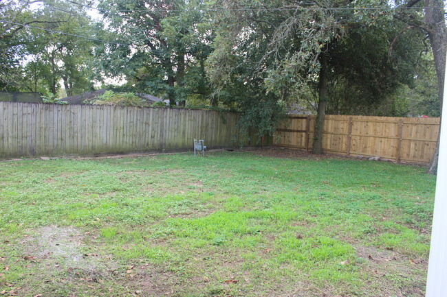 large backyard - 208 Timber Ln