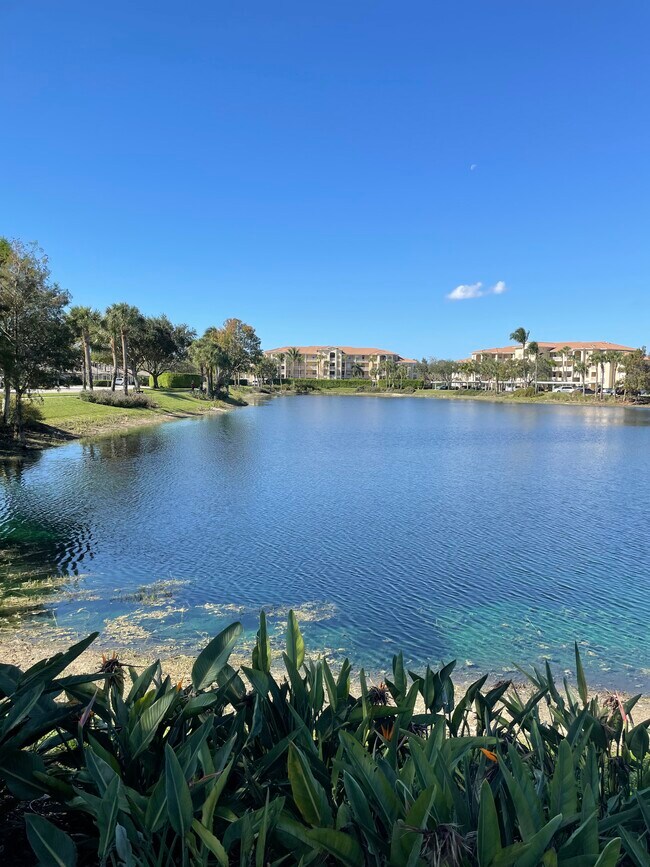 Foto del edificio - 8610 Cedar Hammock Cir