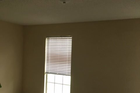 Big beautiful windows let the light in - 513 Newton St
