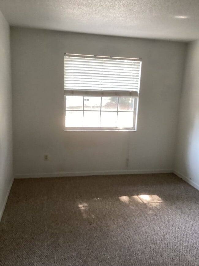 Foto del edificio - Downtown 1 bdrm Apt