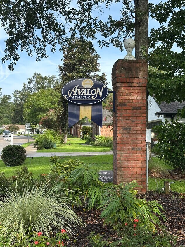 Foto del edificio - 1378 Silver Moon Dr