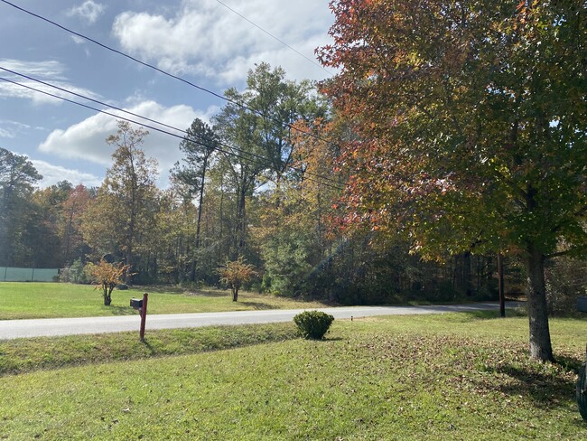 Front yard - 4212 Ellington Ave