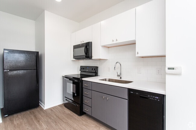 1BR, 1BA - 450 SF - Stella - Harlow on Main