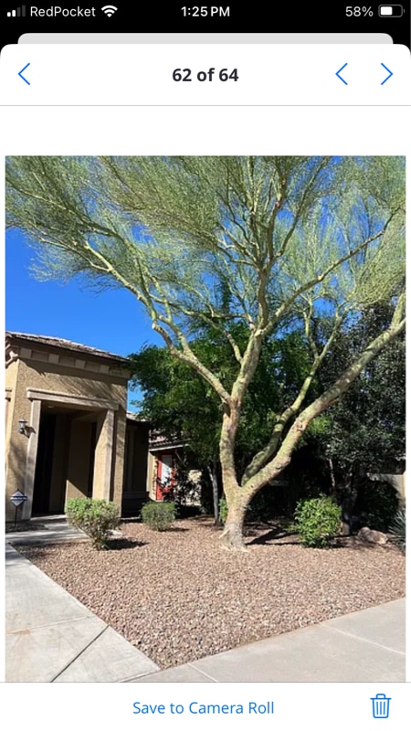 Primary Photo - 11020 E Shepperd Ave