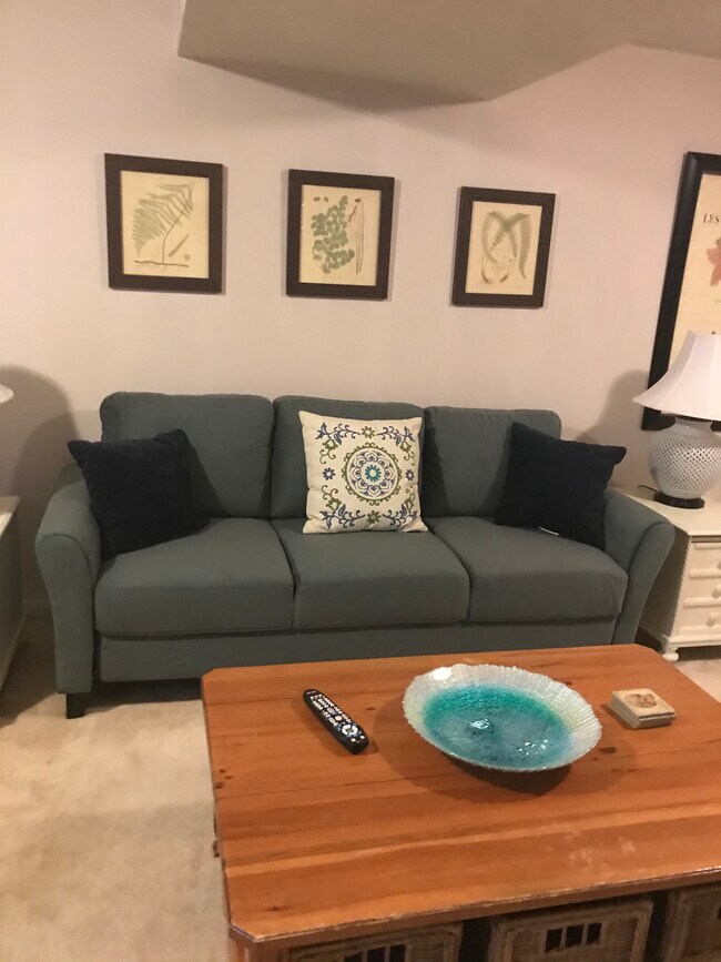 Couch in great room - 2929 Alconbury Ct