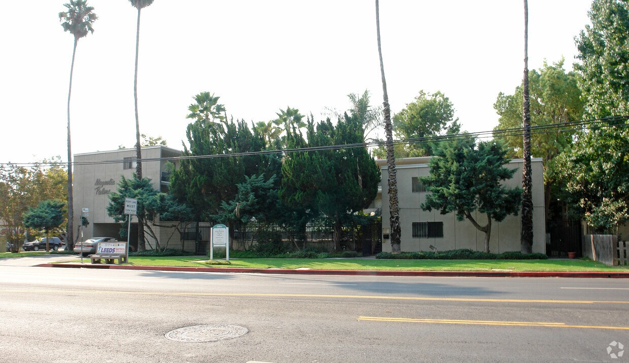 Primary Photo - Magnolia Palms Apartments