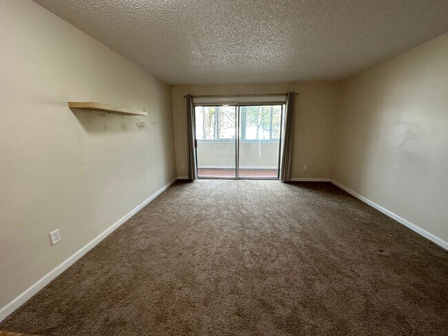 Foto del edificio - 5238 SW 42nd Avenue ~ MOVE IN SPECIAL! 1/2...