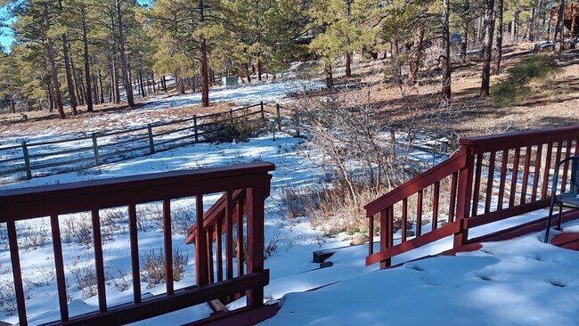 Foto del edificio - Sweet Antelope