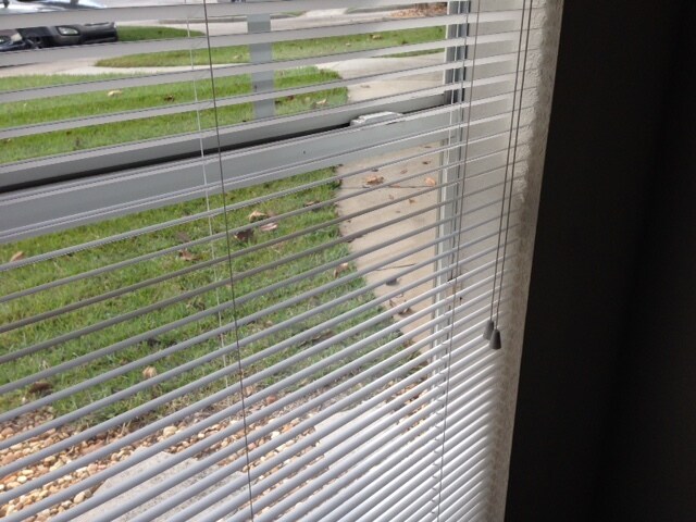 Foto del edificio - 711 Arbor Lakes Cir