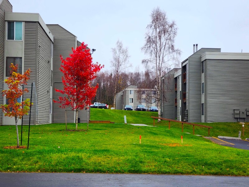 4670 Reka Dr Unit G7, Anchorage, AK 99508 Room for Rent in Anchorage