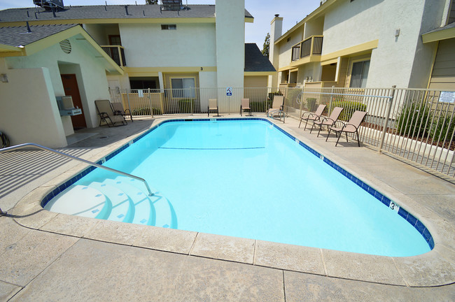 Sparkling Pool - Panorama Pines Apartments