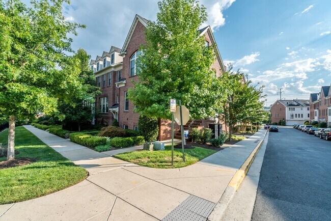 Building Photo - Gorgeous And Upgraded 2 Bedroom 3.5 Bathroom End Unit Townhome In Popular Shirlington Crest