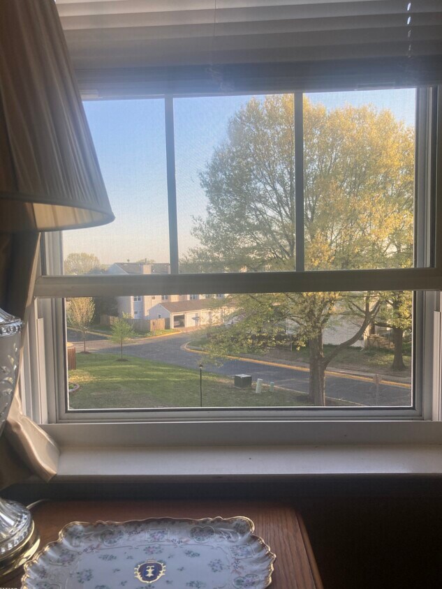 View outside - 13934 Antonia Ford Ct