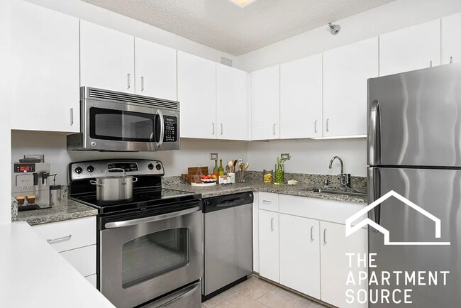 Photo - 750 N Rush St Apartment