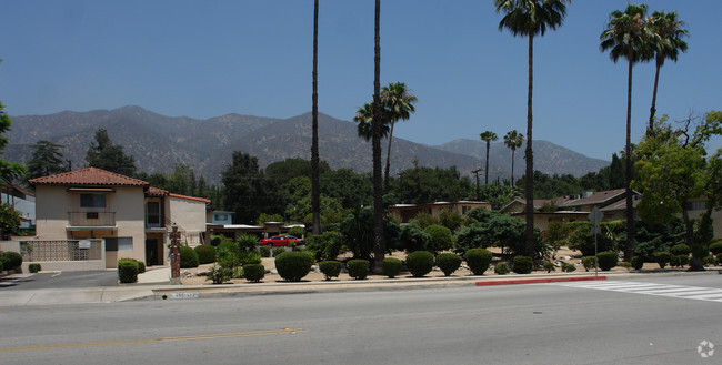 Building Photo - Palms Apartments