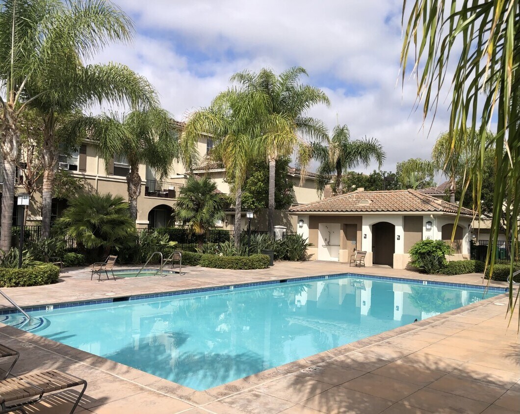 Orangewood Pool - 3605 Orangewood