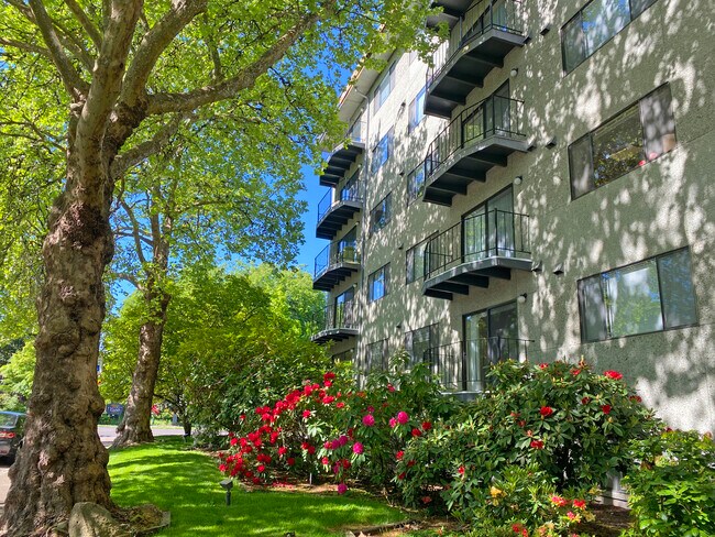 Foto del edificio - Park Plaza Apartments