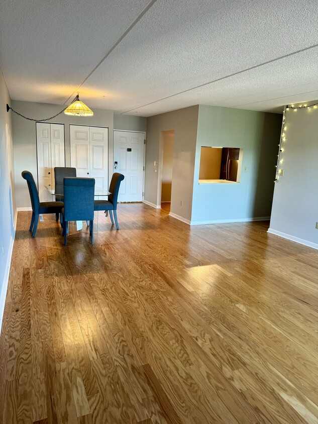 Living Room - 289 Elm St