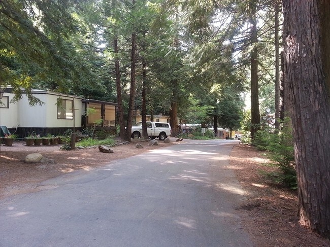 Building Photo - Whispering Pines