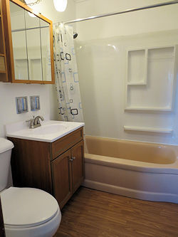 Full Bathroom - 491 Flambeau Ave