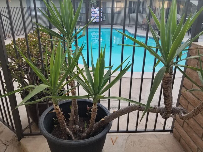 Foto del edificio - 917 E Madison Ave