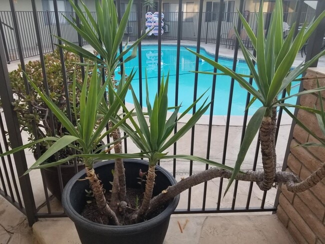 Building Photo - 917 E Madison Ave