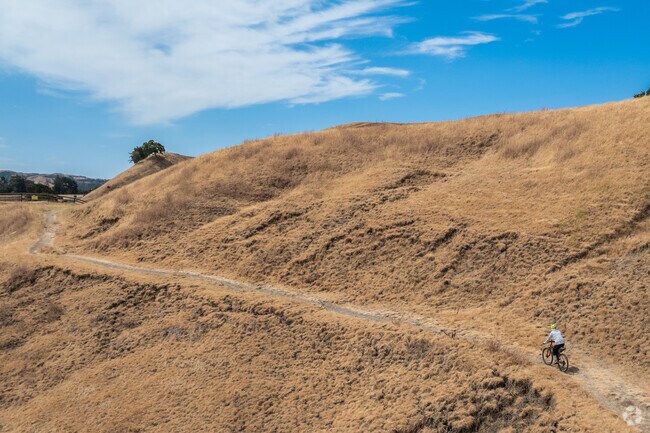 A mountain biker climbs up the the Ridge Trail in the middle of summer assisted by e-power.