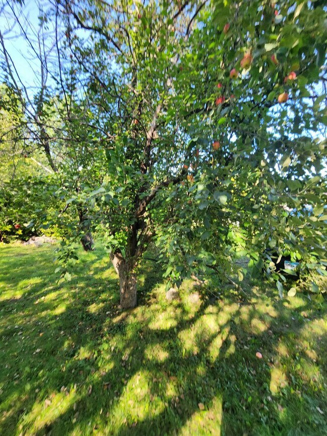 Building Photo - 131 S 56th Ave W