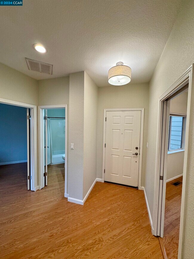 Building Photo - 1167 Shell Ln