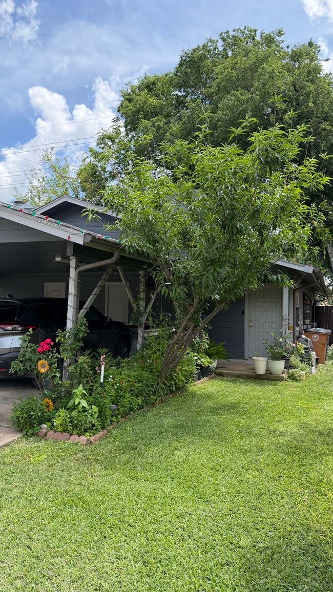 Building Photo - 6809 Blue Dawn Trl