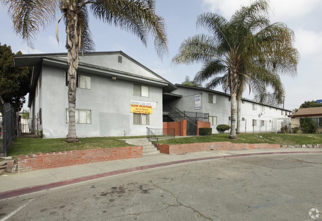 Primary Photo - Orchid Lane Apartments