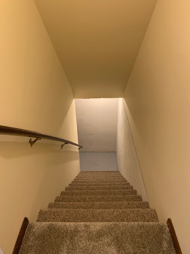 Stairs to basement - 475 W Mae Rose Ave