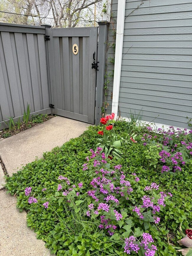 Building Photo - Super sunny & cozy 1 bedroom condo in the ...