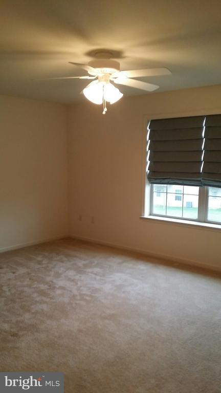 Building Photo - 111 Stonecrest Ln