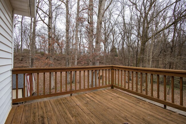 Building Photo - Cozy 3 Bedroom in Clarksville!