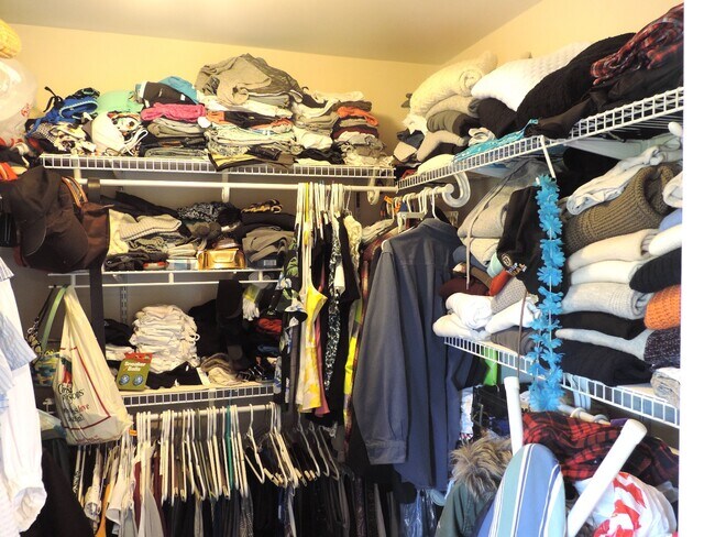 Building Photo - 7 Ward Ct