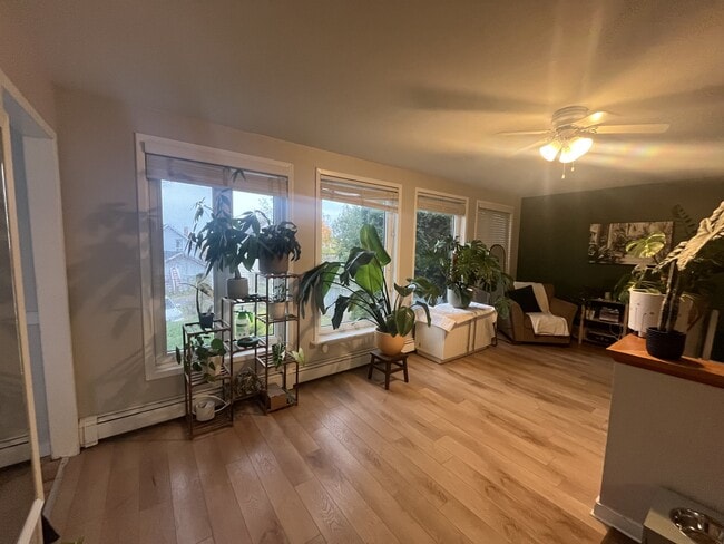 Building Photo - 21 Harris St