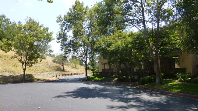 Building Photo - 206 Canyon Woods Way