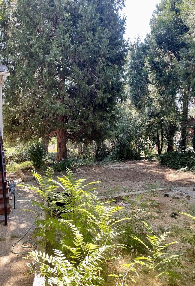 Foto del edificio - 266