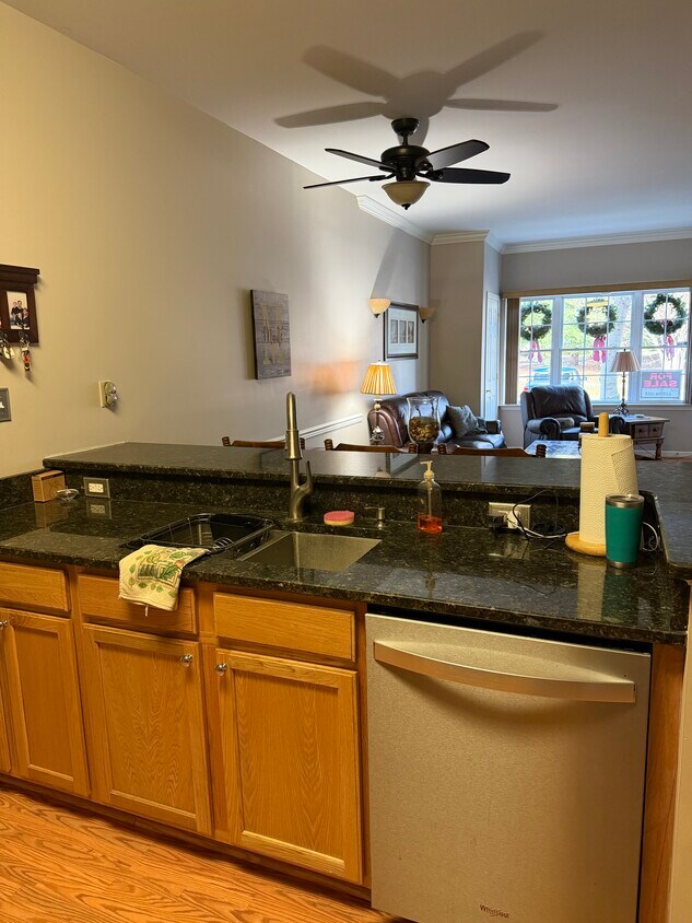 Cocina a sala de estar - 1 Osmond Way