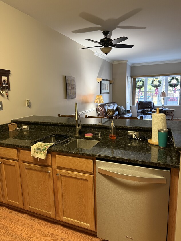 Kitchen to Liv room - 1 Osmond Way