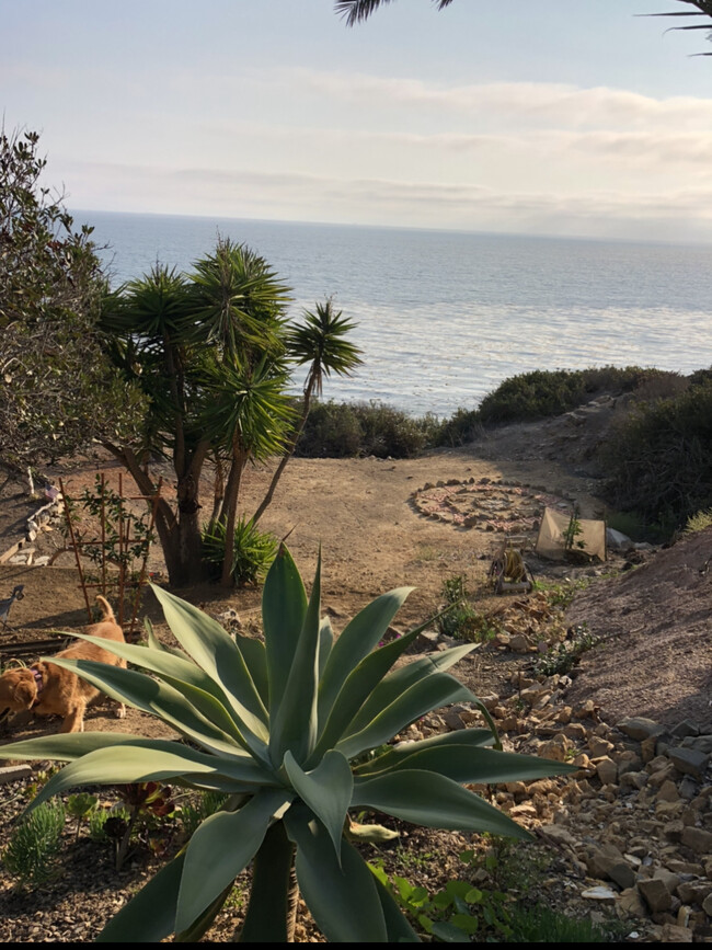 Building Photo - 1171 W Paseo del Mar