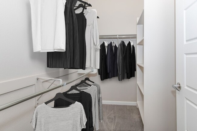 Interior Photo - Onyx North Central