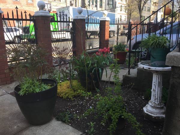 Primary Photo - DEKALB AVENUE