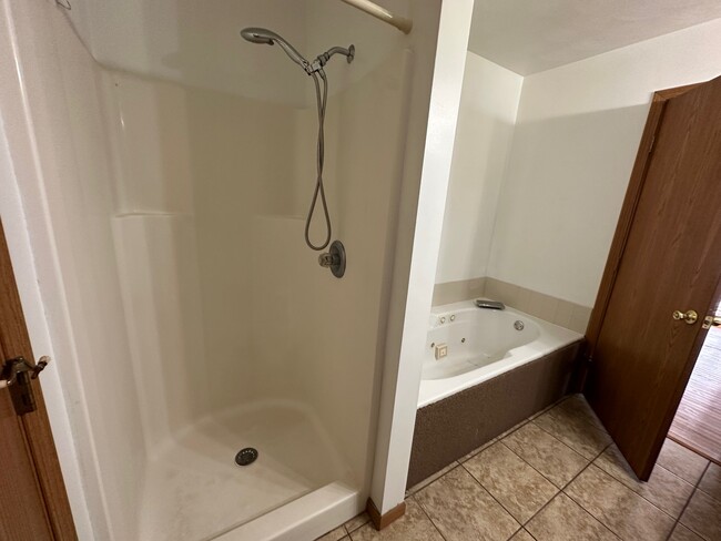 Walk-in shower and 6' Jacuzzi tub - 1070 Lakeshore Dr