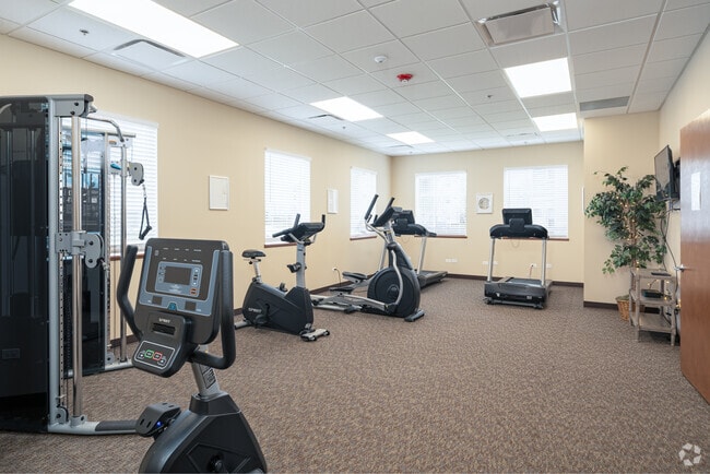 Gimnasio - The Woods of Terra Springs
